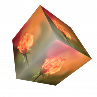 cube-2062327.png